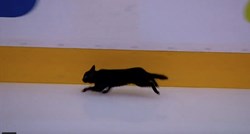 VIDEO Ako su i vjerovali da crne mačke donose nesreću jedna ih je demantirala