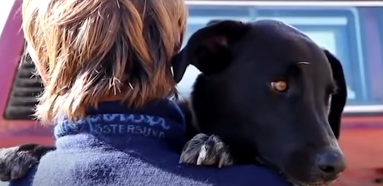 VIDEO Dirljivi susret vlasnika i ukradenog psa uljepšat će vaš dan