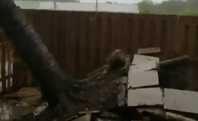 Pogledajte kako uragan čupa stablo iz zemlje, palo par metara od kuće