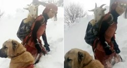 Djevojčica se s psom probijala kroz snijeg da spasi kozu i jare