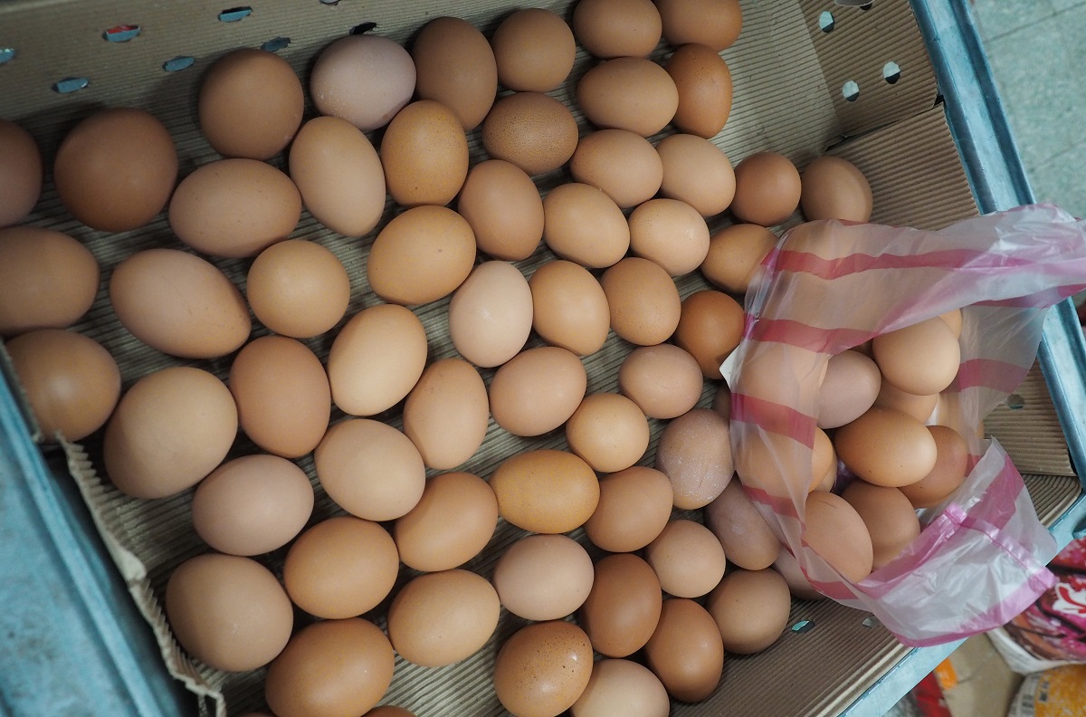 Europski stručnjaci upozoravaju na sve veći broj trovanja salmonelom