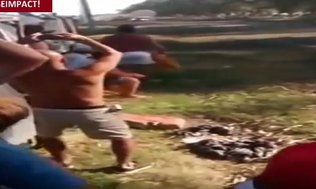 Strašna nesreća u Argentini: Kineska vozačica zabila se u publiku, troje kritično