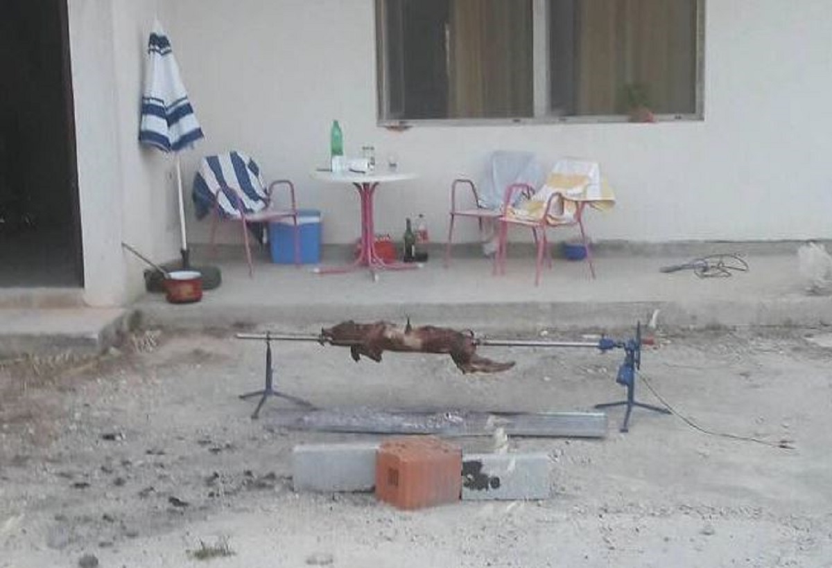 Fotka apartmana nakon iznajmljivanja gostima iz BiH mnoge je naljutila: "Nabije vas Bosanka!"