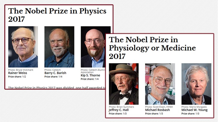 Tek svaki dvadeseti Nobel ide u ženske ruke, tvrde da razlog za to nije muški šovinizam