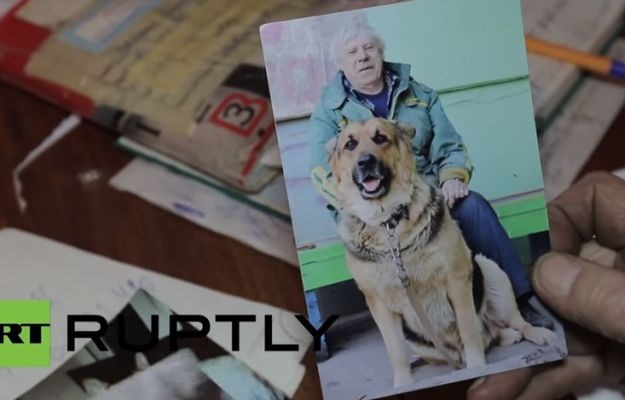 Umro od tuge za prijateljem: Ova priča o ljubavi psa i čovjeka slomit će vam srce