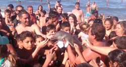 Htjeli su selfie: Turisti navlačili ugroženog delfina po plaži i ostavili ga da ugine