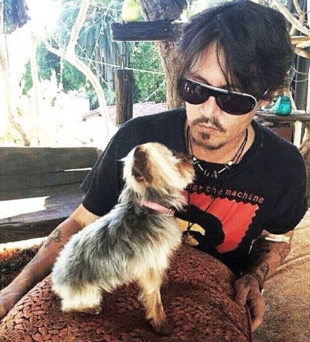 Johnny Depp u velikim dramama zbog svojih pasa