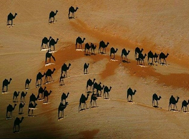 FOTO Fotka deva koje hodaju kroz pustinju postala je hit, možete li vidjeti zašto?