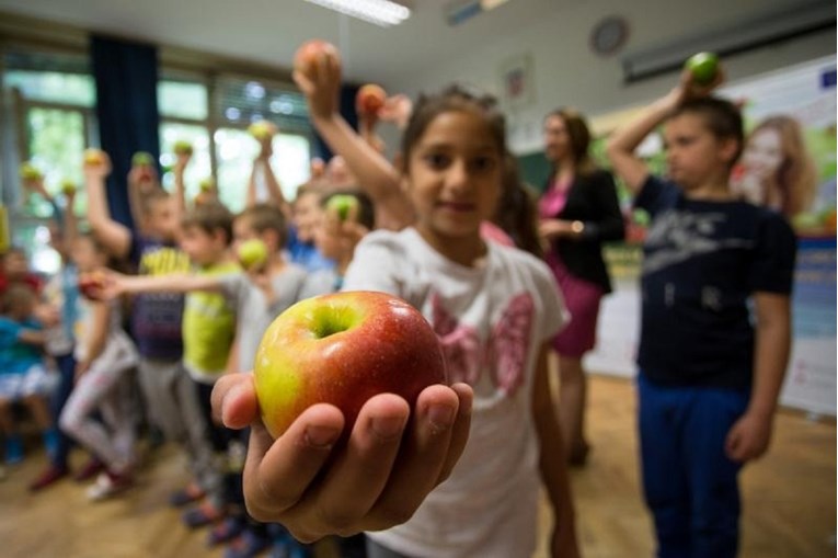 Gotovo pola škola u Dalmaciji ne želi besplatno voće i mlijeko za učenike