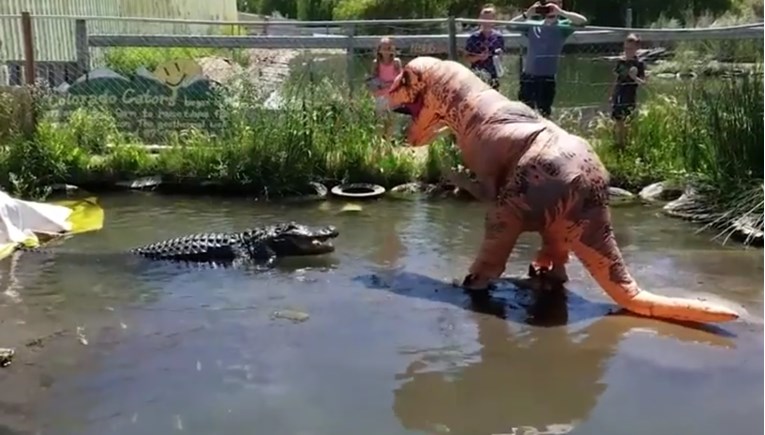 VIDEO Obukao se u dinosaura i provocirao golemog aligatora - evo kako je to završilo