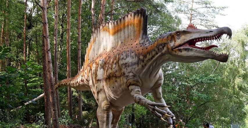 NOVA OTKRIĆA Znanstvenici traže radikalnu promjenu razlikovanja dinosaura