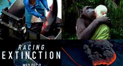 TV događaj o kojem se priča: U isto vrijeme, u 220 zemalja - uznemirujuća priča o izumiranju