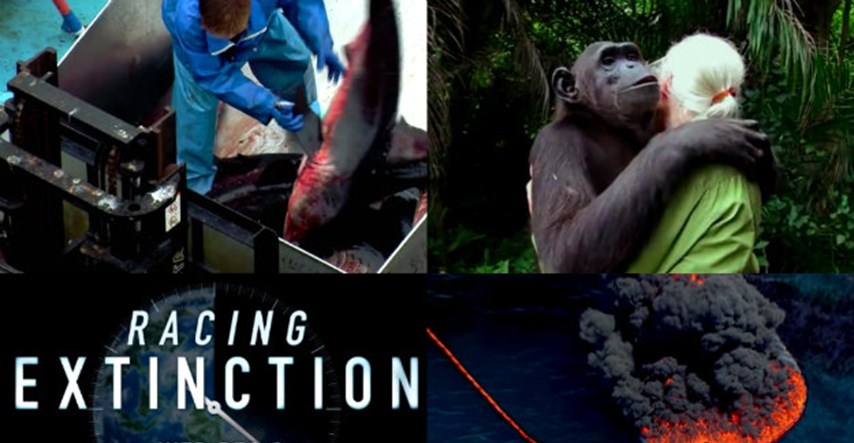 TV događaj o kojem se priča: U isto vrijeme, u 220 zemalja - uznemirujuća priča o izumiranju