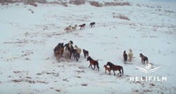 VIDEO Pogledajte fantastičnu snimku hercegovačkih divljih konja u trku na snijegu
