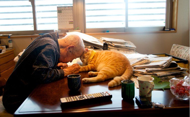 Život tužnog i bolesnog 94-godišnjaka se skroz promijenio kad mu je unuk nabavio mačku