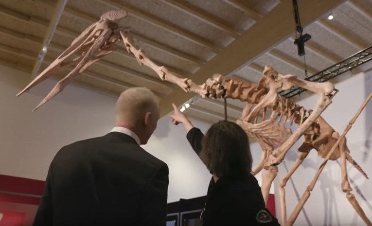Zovu ga Drakula: Predstavljen impresivan kostur pterodaktila starog oko 66 milijuna godina