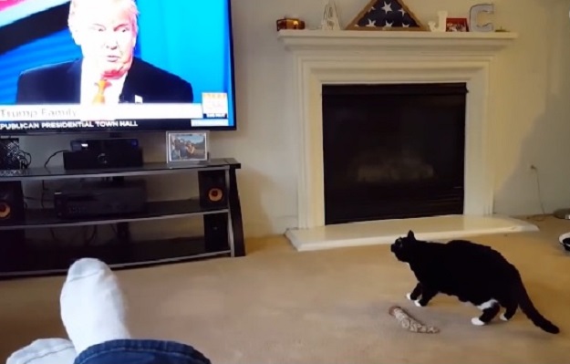 VIDEO I životinje mrze Donalda Trumpa! A neke ga se i boje