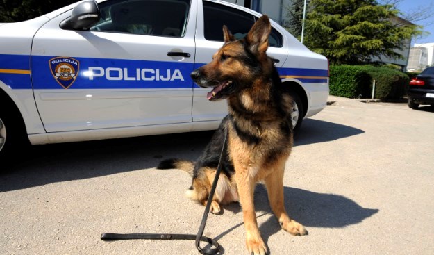 Splitska policija najuspješnija u hvatanju dilera, pas Pik zaslužan za 40 većih zapljena