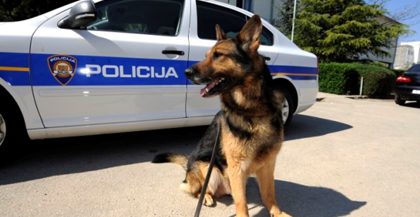 Splitska policija najuspješnija u hvatanju dilera, pas Pik zaslužan za 40 većih zapljena