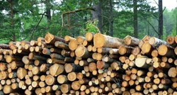Izvoz drvne industrije u prva četiri mjeseca smanjen za 14,8 posto