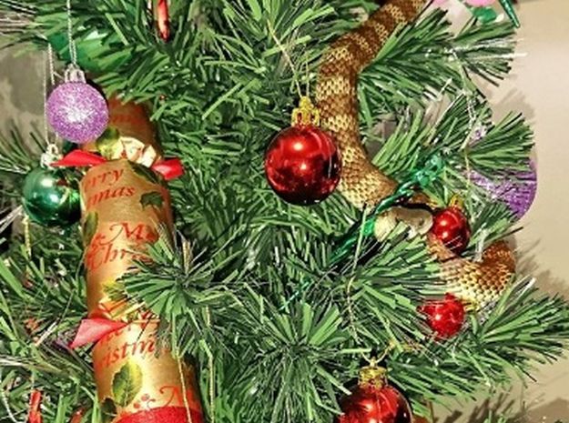 FOTO Prizor iz noćne more: U božićnom drvcu pronašla zmiju