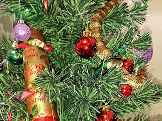 FOTO Prizor iz noćne more: U božićnom drvcu pronašla zmiju
