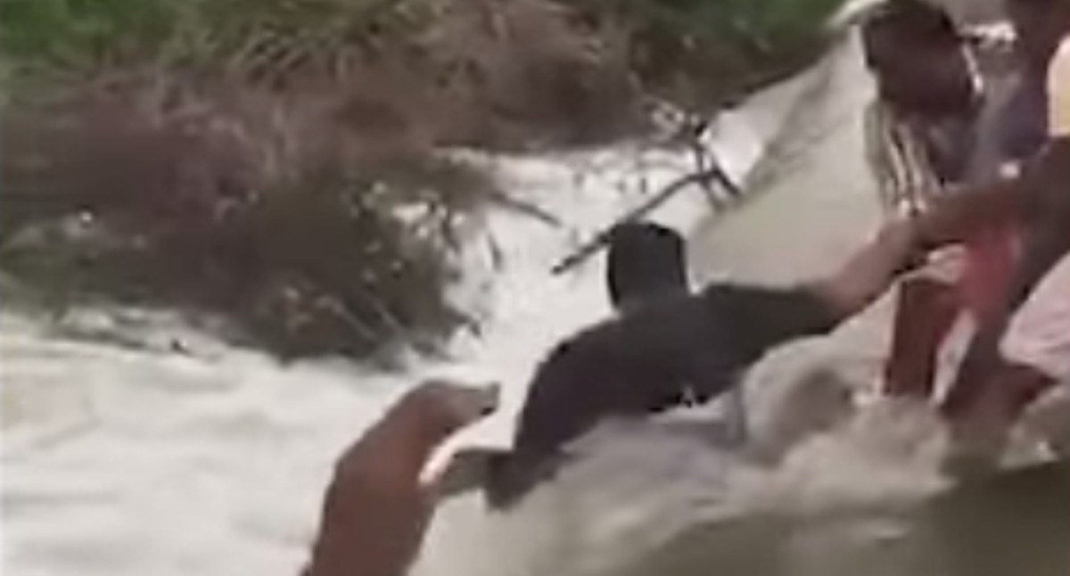 VIDEO Skupina ljudi ujedinila se kako bi pomogla psiću koji se utapao