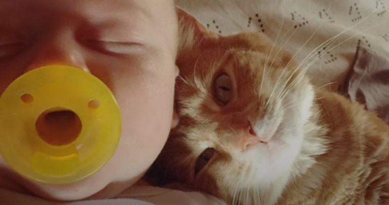 VIDEO Ova je maca opsjednuta svojim malenim vlasnikom i uči ga pravim vrijednostima