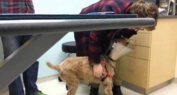 VIDEO Bio je slijep, a veterinari su mu vratili vid - reakcija je neprocjenjiva