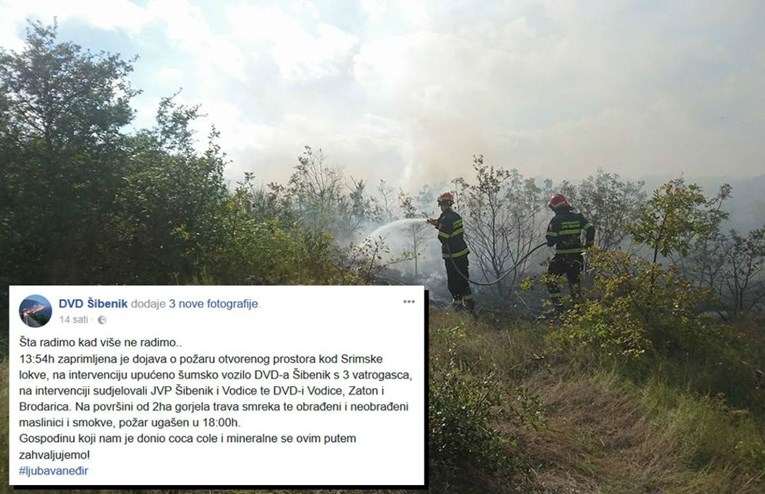 Buknuo požar kod Šibenika, gorjeli maslinici i nisko raslinje