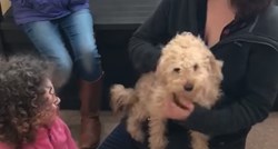 Nakon 19 mjeseci, izgubljeni pas susreo se sa svojom obitelji i to izgleda predivno