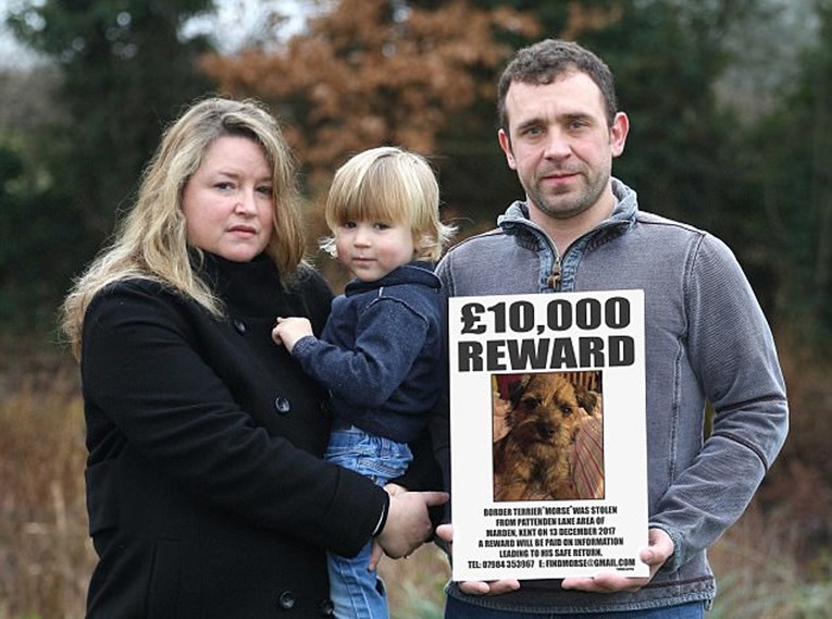 Simon Cowell ponudio je nagradu od 10 000 funti za vraćanje ukradenog psića malenom dječaku