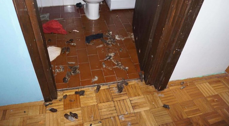 FOTO Podstanarka u Zagrebu uništila stan i otišla: "Ostavila je govna posvuda, nije ni platila"