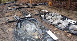 Žrtve nasilnih zločina: Meksiko počeo ekshumaciju 116 tijela iz masovne grobnice