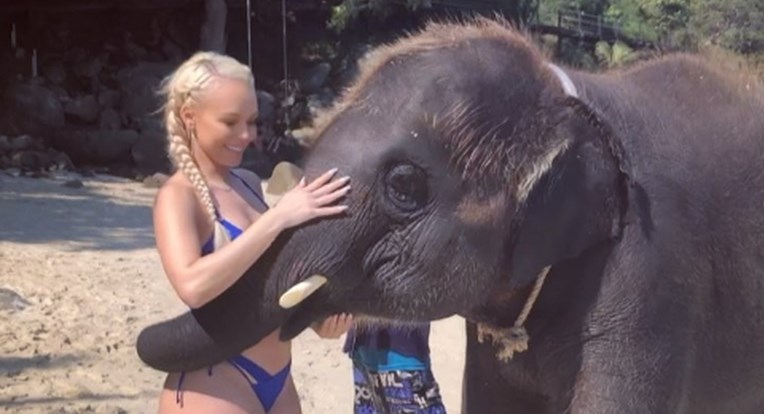 VIDEO Manekenka objavila snimku kako je slon pljeska po bujnoj guzi pa izazvala bijes pratitelja