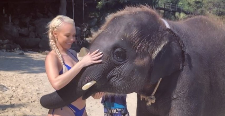 VIDEO Manekenka objavila snimku kako je slon pljeska po bujnoj guzi pa izazvala bijes pratitelja