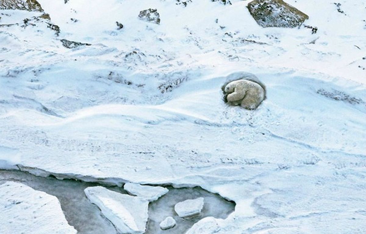 Konferencija o klimatskim promjenama u Norveškoj: "Glavni krivac za globalno zatopljenje je čovjek"