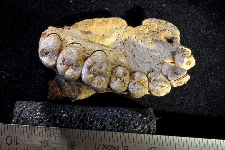 U izraelskoj pećini otkrivene najstarije kosti suvremenog čovjeka