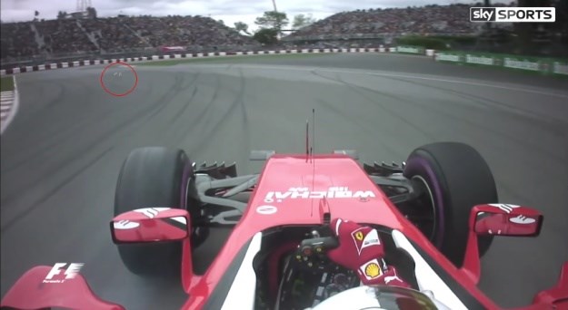 VIDEO Vettela iziritirala dva suicidalna galeba