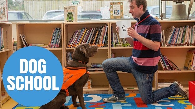 Labrador Fernie koji zna "čitati" djeci pomaže da nauče isto