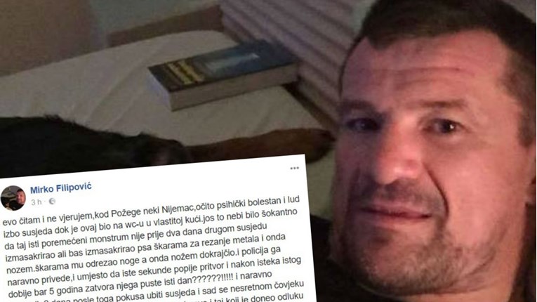 Mirko Filipović pobjesnio: "Koje smo mi smeće od pravne države"