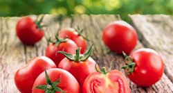 Rajčica - izvor zdravlja na tvom tanjuru