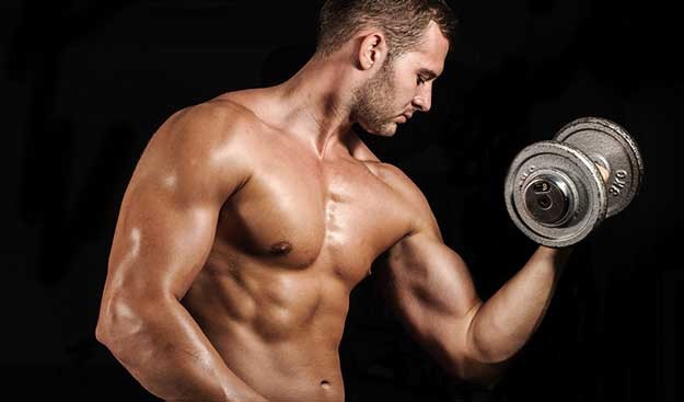 Osnovna pravila za početnički Full-Body program