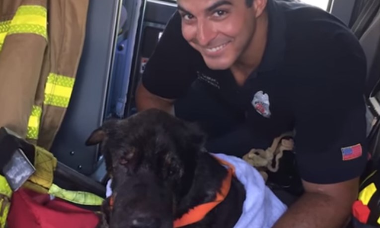 VIDEO Lokalni vatrogasac postao je heroj nakon što je spasio psa od utapanja
