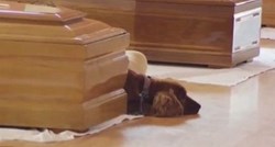 VIDEO Čovjekov najbolji prijatelj: Pas se ne želi maknuti od lijesa vlasnika poginulog u potresu
