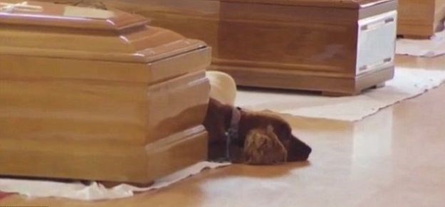 VIDEO Čovjekov najbolji prijatelj: Pas se ne želi maknuti od lijesa vlasnika poginulog u potresu