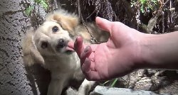 Darovali su joj štene za rođendan, a kasnije ga pronašli preplašenog na ulici
