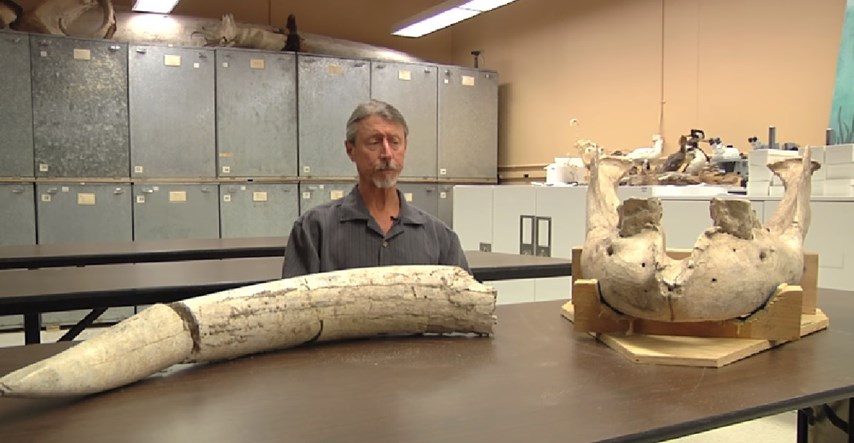 VIDEO Dječak se spotaknuo, pao i otkrio fosil star više od milijun godina