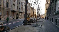 FOTO Bandić naredio sječu drvoreda u Gajevoj pa to stopirao uz bizarno objašnjenje