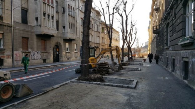 Zelena akcija: Zbog šlamperaja je srušeno 5 stabala u Gajevoj